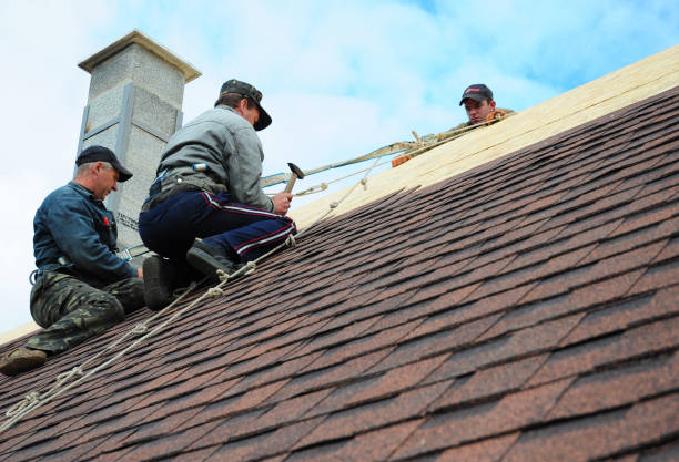 Best Gutter Installation and Roofing  in Stro Valley, CA